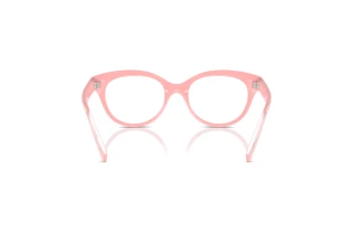 [glasses-back-view] Dolce & Gabbana DX5003 (3098)