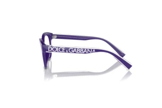 [glasses-side-view] Dolce & Gabbana DX5003 (3335)
