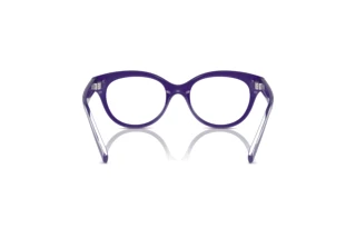 [glasses-back-view] Dolce & Gabbana DX5003 (3335)