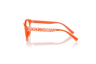 Sivukuva Dolce & Gabbana DX5003 (3338)