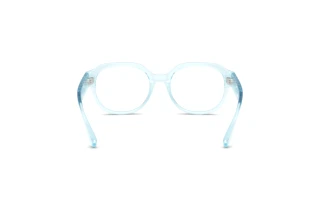 [glasses-back-view] Dolce & Gabbana DX5004U (3346)