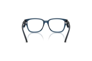 Vista posterior Dolce & Gabbana DX5006 (3009)