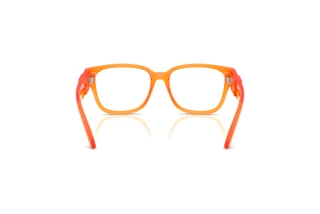 [glasses-back-view] Dolce & Gabbana DX5006 (3388)