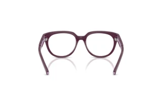 Vedere din spate Dolce & Gabbana DX5007 (3360)