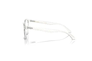 [glasses-side-view] Dolce & Gabbana DX5096 (3108)