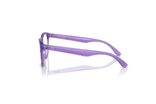 [glasses-side-view] Dolce & Gabbana DX5096 (3353)