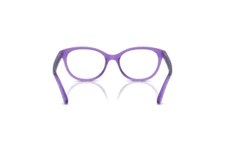 [glasses-back-view] Dolce & Gabbana DX5096 (3353)