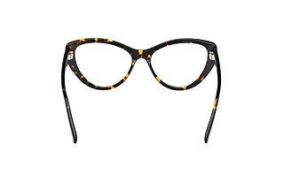 [glasses-back-view] Emilio Pucci EP5256 (052)