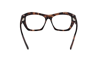 [glasses-back-view] Emilio Pucci EP5264 (055)