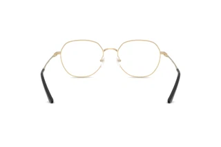 [glasses-back-view] Emporio Armani EA1174D (3013)
