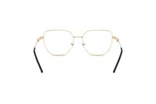 Vedere din spate Emporio Armani EA1176 (3013)