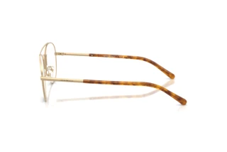 Vedere laterală Emporio Armani EA1178 (3002)