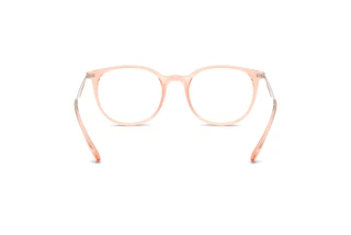 [glasses-back-view] Emporio Armani EA3168 (6346)