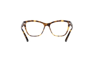 [glasses-back-view] Emporio Armani EA3193 (5025)