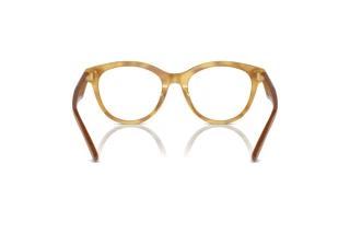 [glasses-back-view] Emporio Armani EA3236 (6115)