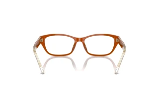 [glasses-back-view] Emporio Armani EA3238U (6097)