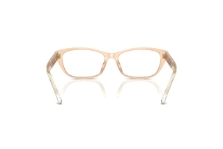 [glasses-back-view] Emporio Armani EA3238U (6098)