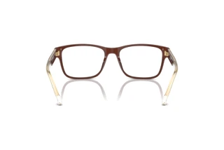 [glasses-back-view] Emporio Armani EA3239 (6095)