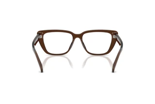 [glasses-back-view] Emporio Armani EA3256U (6251)