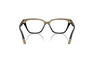 Vedere din spate Emporio Armani EA3270U (6313)