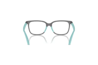 [glasses-back-view] Emporio Armani EK3006 (6134)