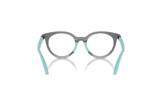 [glasses-back-view] Emporio Armani EK3007 (6134)