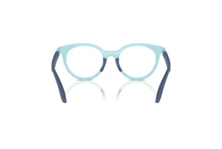 [glasses-back-view] Emporio Armani EK3007 (6137)