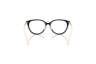 [glasses-back-view] Emporio Armani EK3010 (5017)