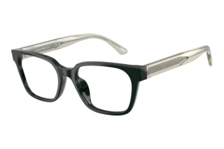 [glasses-front-view] Emporio Armani EK3013U (6381)