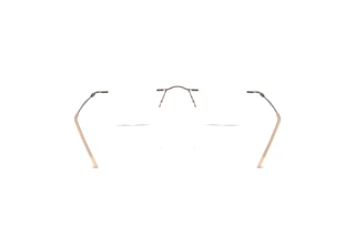 [glasses-back-view] Giorgio Armani AR5147 (3006)