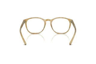 [glasses-back-view] Giorgio Armani AR7074 (6300)