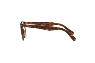 Πλευρική όψη Giorgio Armani AR7214 (5879)