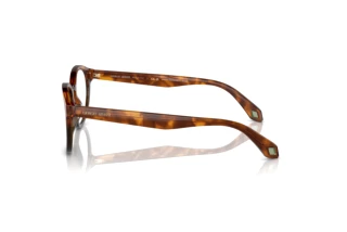 [glasses-side-view] Giorgio Armani AR7248 (5988)