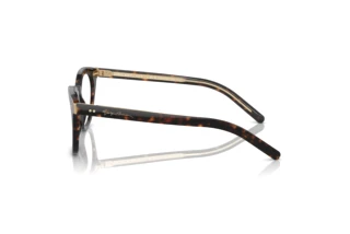 [glasses-side-view] Giorgio Armani AR7251 (5879)