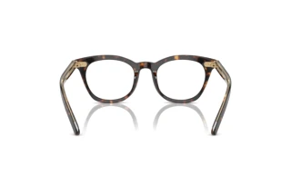 [glasses-back-view] Giorgio Armani AR7251 (5879)
