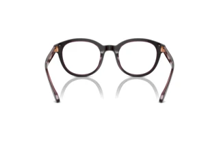 Vista posterior Giorgio Armani AR7256 (6088)