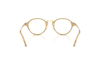 [glasses-back-view] Giorgio Armani AR7287 (6300)
