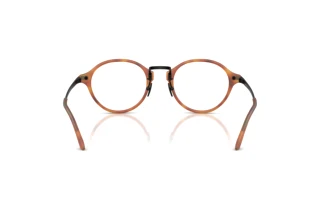 [glasses-back-view] Giorgio Armani AR7287 (6404)
