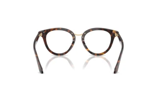[glasses-back-view] Giorgio Armani AR7289U (6124)