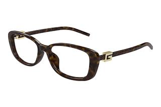 Gucci GG1685OK 004 HAVANA