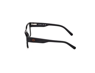 [glasses-side-view] Harley-Davidson HD50110 (001)