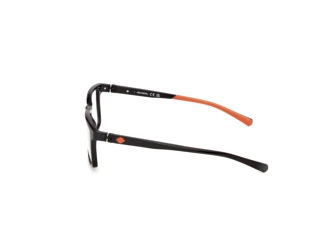 [glasses-side-view] Harley-Davidson HD50124 (001)
