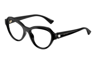[glasses-front-view] Jimmy Choo JC1002HU (5000)
