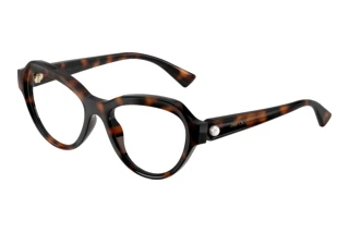 [glasses-front-view] Jimmy Choo JC1002HU (5002)