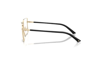 [glasses-side-view] Jimmy Choo JC2022 (3006)