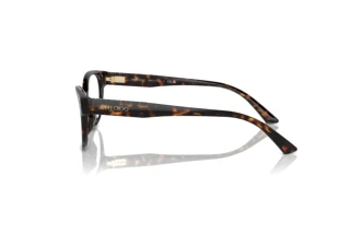 [glasses-side-view] Jimmy Choo JC3003BU (5002)