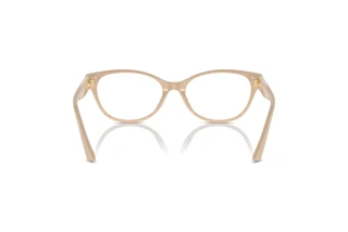 Πίσω όψη Jimmy Choo JC3003BU (5015)