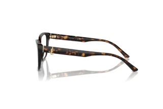 [glasses-side-view] Jimmy Choo JC3008 (5002)