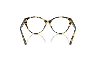 [glasses-back-view] Jimmy Choo JC3009 (5004)