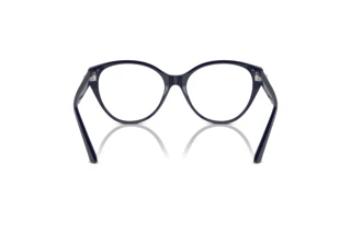 [glasses-back-view] Jimmy Choo JC3009 (5016)